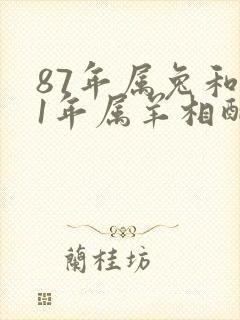 87年属兔和91年属羊相配吗