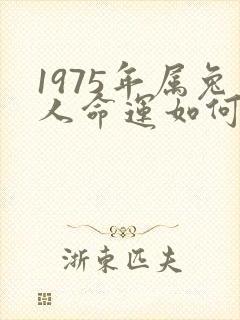 1975年属兔人命运如何