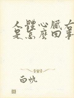 人体心脏右边痛是怎么回事