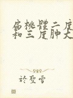 扁桃体二度肿大和三度肿大