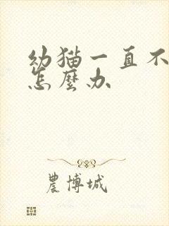 幼猫一直不排便怎么办