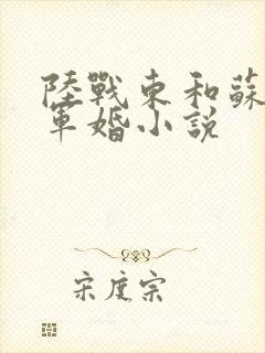 陆战东和苏灿的军婚小说封面