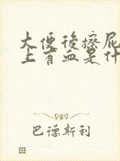 大便后擦屁股纸上有血是什么原因