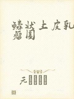 鳞状上皮乳头状瘤图