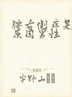 腰右侧疼是什么原因男性封面