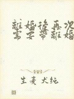 离婚后再次结婚需要带离婚证吗