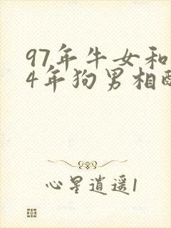 97年牛女和94年狗男相配婚姻如何