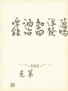 啤酒加洋葱洗头能治白发吗