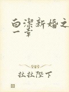 白洁新婚之夜第一章
