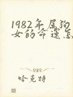 1982年属狗女的命运怎么样