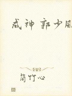 成神 郭少风封面