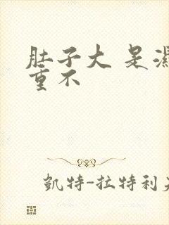 肚子大 是湿气重不