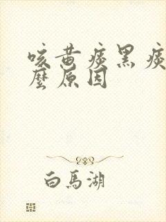 咳黄痰黑痰是什么原因