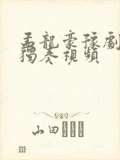 孟龙豪豫剧板胡独奏视频