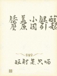 膝盖小腿酸痛什么原因引起的女性封面