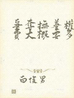 争夺抚养权律师费大概要多少钱