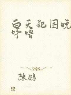 白天犯困晚上打呼噜封面