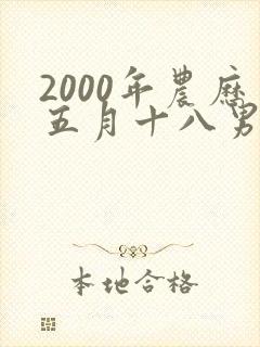 2000年农历五月十八男孩命运