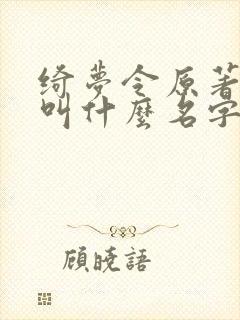 绮梦令原著小说叫什么名字封面