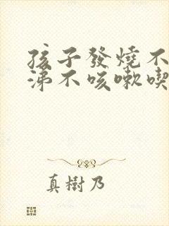 孩子发烧不流鼻涕不咳嗽吃什么药封面