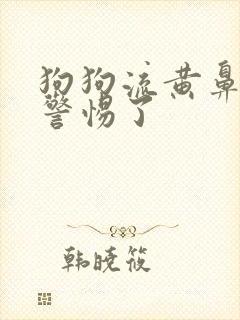 狗狗流黄鼻涕要警惕了