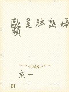 欧美胖熟妇性视频