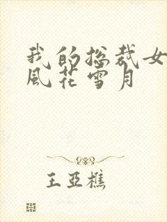 我的总裁女友 风花雪月