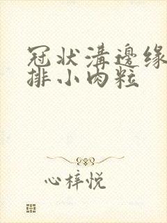 冠状沟边缘有一排小肉粒