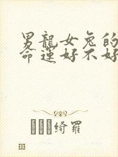 男龙女兔的夫妻命运好不好封面