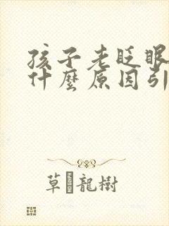 孩子老眨眼睛是什么原因引起的和脑子有关嘛封面