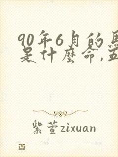 90年6月的马是什么命,五行属性封面