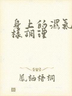 身上的湿气重怎样调理