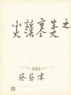 小说重生之狂暴火法全文