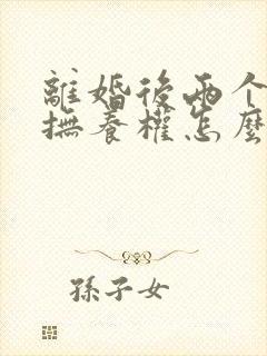 离婚后两个孩子抚养权怎么判定的