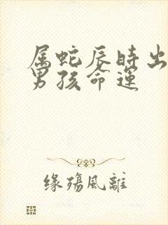 属蛇辰时出生的男孩命运