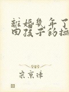 离婚几年了想要回孩子的抚养权封面