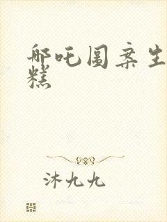 哪吒图案生日蛋糕