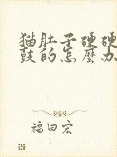 猫肚子硬硬的鼓鼓的怎么办