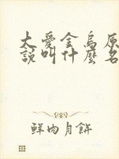 大爱金乌原著小说叫什么名字封面