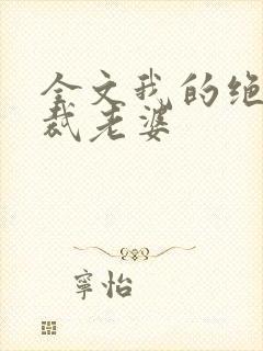 全文我的绝美总裁老婆封面