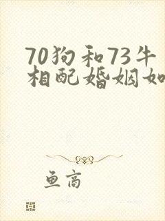 70狗和73牛相配婚姻如何