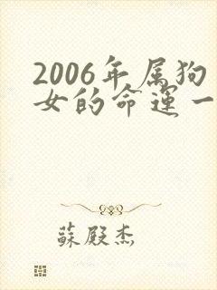 2006年属狗女的命运一生怎么样