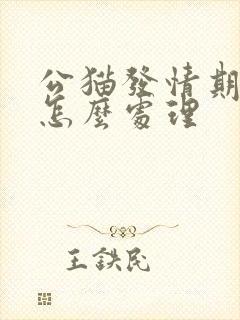 公猫发情期乱尿怎么处理封面