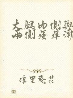 大腿内侧与阴囊两侧瘙痒潮湿发黑吃什么药