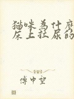 猫咪为什么会在床上拉尿的原因