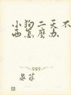 小狗二天不吃东西怎么办