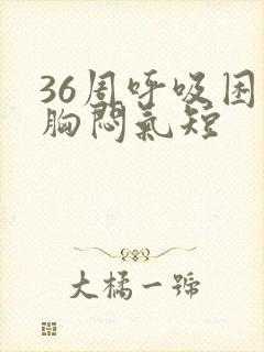 36周呼吸困难胸闷气短封面