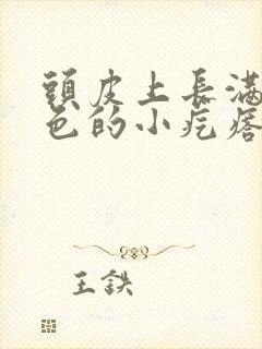 头皮上长满了红色的小疙瘩