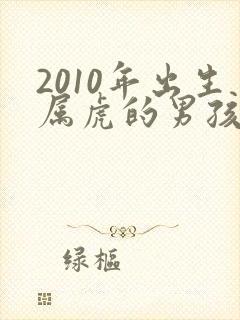 2010年出生属虎的男孩什么命运
