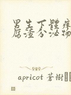 男生下体痒有豆腐渣分泌物怎么办